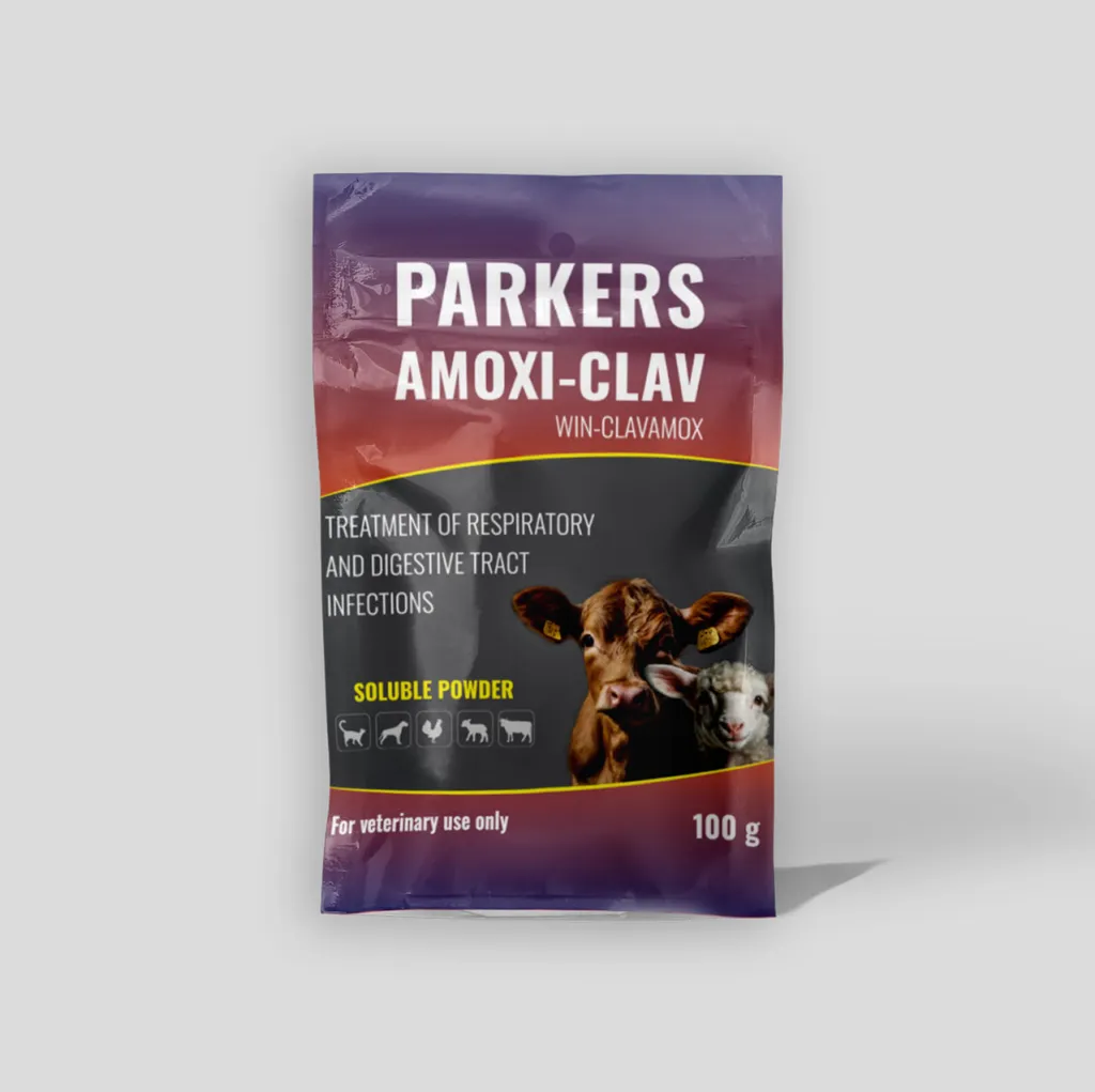 amoxi clav 1024x1021