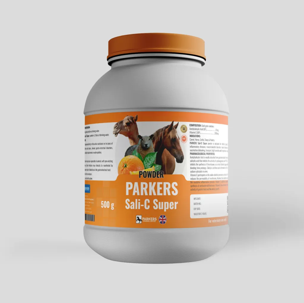 sali c super 1024x1021