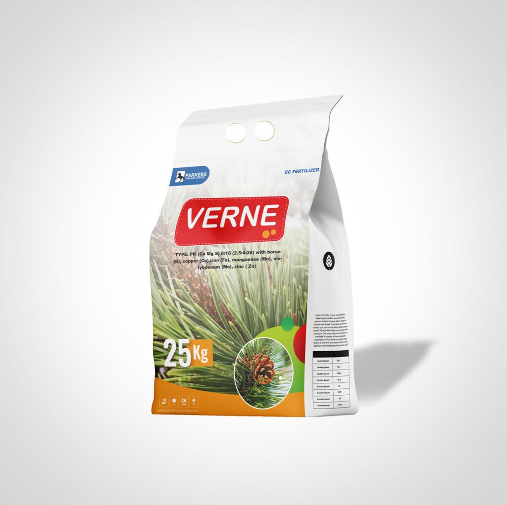 verne 2