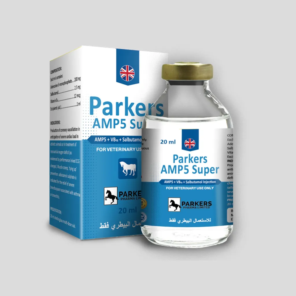 amp5 super 1024x1021