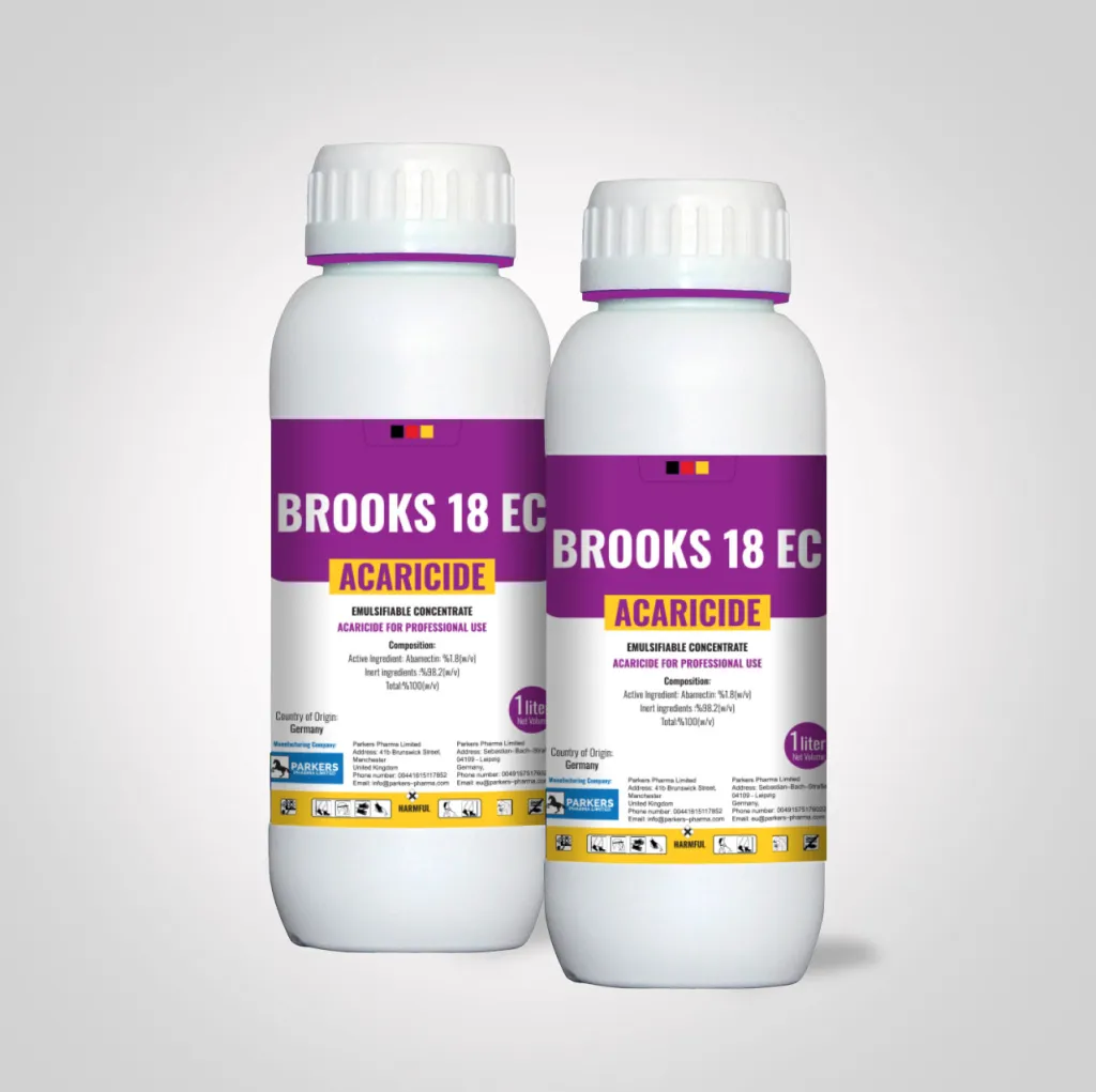 brooks 18 ec 1024x1021